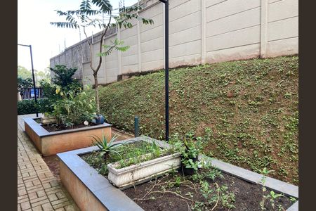 Apartamento para alugar com 44m², 2 quartos e 1 vaga Apartamento para alugar com 44m², 2 quartos e 1 vagaHorta Comunitária
