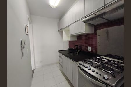Cozinha de apartamento à venda com 2 quartos, 47m² em Quinta da Paineira, São Paulo