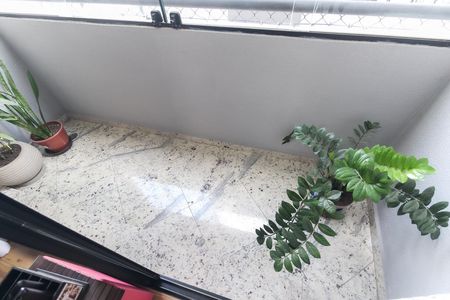 Varanda da Sala de apartamento para alugar com 2 quartos, 57m² em Vila Carmosina, São Paulo