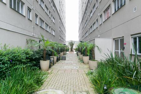 Apartamento para alugar com 34m², 1 quarto e sem vagaÁrea comum 