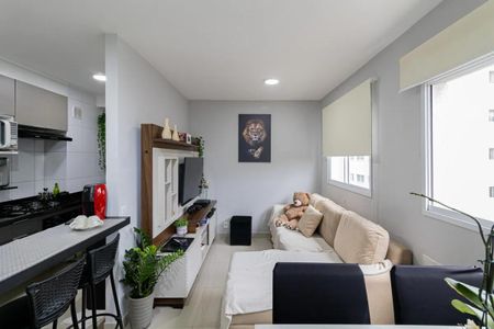 Sala de apartamento para alugar com 1 quarto, 34m² em Vila Pierina, São Paulo