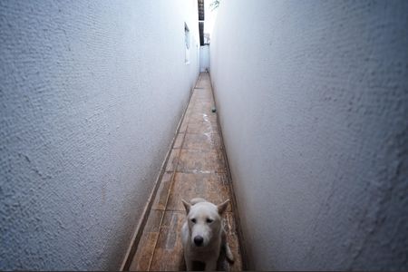 Casa à venda com 300m², 6 quartos e 4 vagas
