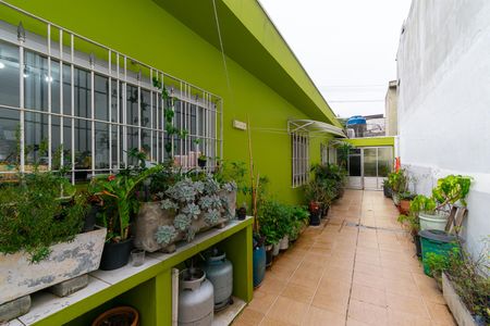 Casa para alugar com 120m², 3 quartos e 2 vagas Casa para alugar com 120m², 3 quartos e 2 vagasQuintal