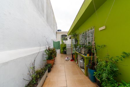 Casa para alugar com 120m², 3 quartos e 2 vagas Casa para alugar com 120m², 3 quartos e 2 vagasQuintal
