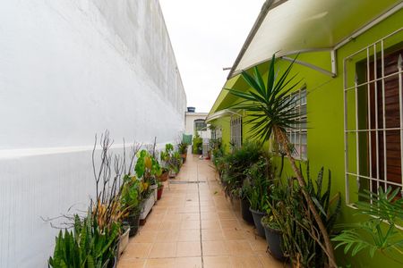 Casa para alugar com 120m², 3 quartos e 2 vagas Casa para alugar com 120m², 3 quartos e 2 vagasQuintal