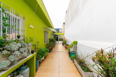Casa para alugar com 120m², 3 quartos e 2 vagas Casa para alugar com 120m², 3 quartos e 2 vagasQuintal