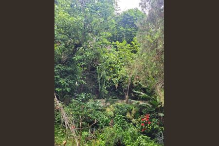 Casa à venda com 388m², 5 quartos e 1 vaga