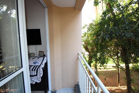 Sala - Varanda de apartamento para alugar com 2 quartos, 47m² em Vila Carmosina, São Paulo