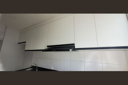 Apartamento para alugar com 45m², 2 quartos e 1 vagaCozinha - Armários