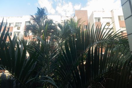 Apartamento para alugar com 60m², 2 quartos e sem vaga Apartamento para alugar com 60m², 2 quartos e sem vagaVista da Sala