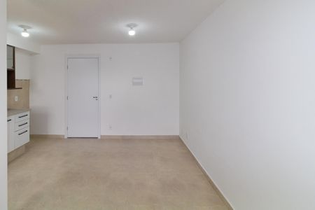 Sala de apartamento para alugar com 2 quartos, 43m² em Vila Graciosa, São Paulo