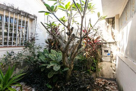 Casa à venda com 200m², 6 quartos e 1 vaga Casa à venda com 200m², 6 quartos e 1 vagaJardim