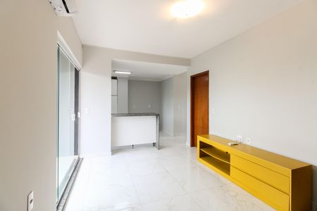 Sala  de apartamento para alugar com 2 quartos, 62m² em Vila Esperança, São Paulo