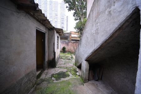 Casa para alugar com 265m², 5 quartos e 2 vagasQuintal