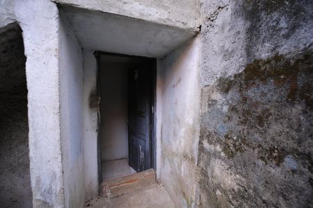 Casa para alugar com 265m², 5 quartos e 2 vagasQuintal