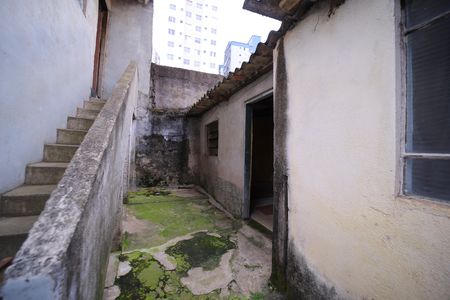 Casa para alugar com 265m², 5 quartos e 2 vagasQuintal