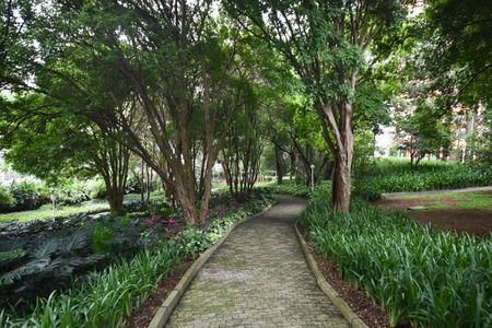 Apartamento à venda com 343m², 4 quartos e 4 vagas Apartamento à venda com 343m², 4 quartos e 4 vagasBosque