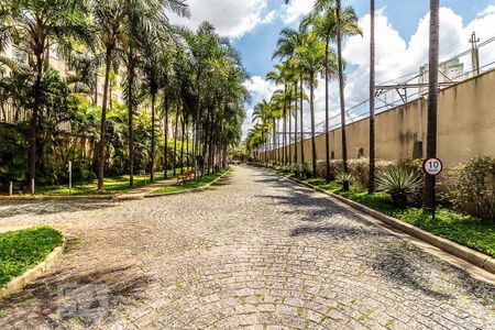 Apartamento para alugar com 42m², 1 quarto e 1 vaga Apartamento para alugar com 42m², 1 quarto e 1 vagaJardim