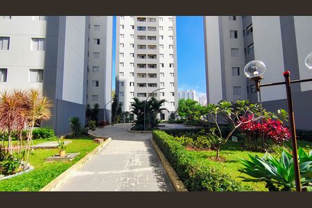 Apartamento à venda com 65m², 3 quartos e 1 vaga Apartamento à venda com 65m², 3 quartos e 1 vagaÁrea comum