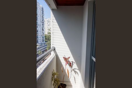 Apartamento à venda com 65m², 3 quartos e 1 vaga Apartamento à venda com 65m², 3 quartos e 1 vagaSacada