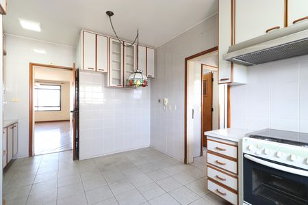 Apartamento à venda com 171m², 4 quartos e 4 vagasCozinha 