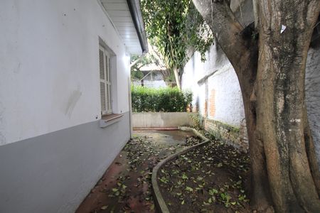 Casa para alugar com 243m², 3 quartos e 2 vagasÁrea externa