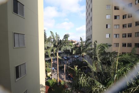 Apartamento para alugar com 69m², 3 quartos e 1 vagaVista Quarto 3