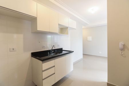Cozinha  de apartamento para alugar com 2 quartos, 48m² em Vila Aricanduva, São Paulo