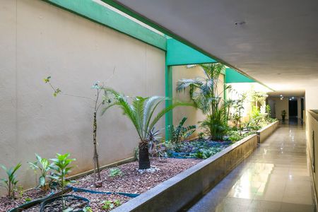 Apartamento para alugar com 71m², 3 quartos e 1 vaga Apartamento para alugar com 71m², 3 quartos e 1 vagaEntrada