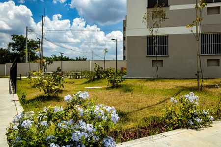 Apartamento para alugar com 54m², 2 quartos e sem vaga Apartamento para alugar com 54m², 2 quartos e sem vagaÁrea comum