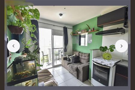 Apartamento à venda com 2 quartos, 35m² em Cambuci, São Paulo