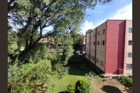 Vista da Rua de apartamento para alugar com 3 quartos, 78m² em Jardim Patente, São Paulo