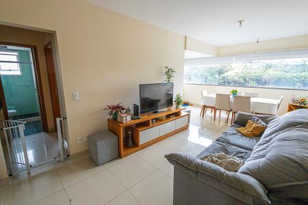 sala de apartamento à venda com 2 quartos, 80m² em Castelo, Belo Horizonte