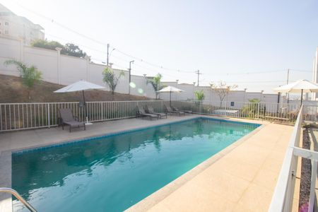 Área comum - Piscina de apartamento à venda com 2 quartos, 44m² em Caiapos, Contagem
