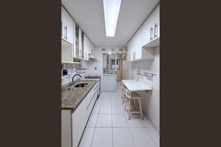 Cozinha de apartamento para alugar com 4 quartos, 100m² em Vila Mariana, São Paulo