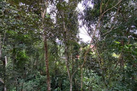 Vista da Suite 2 de casa de condomínio à venda com 5 quartos, 1205m² em Bosque Residencial do Jambreiro, Nova Lima