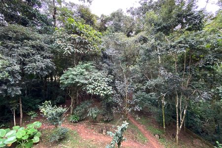 Casa de condomínio à venda com 1205m², 5 quartos e 4 vagas Casa de condomínio à venda com 1205m², 5 quartos e 4 vagasBosque