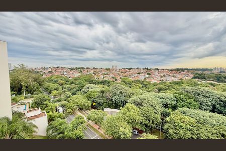 Apartamento à venda com 92m², 3 quartos e 2 vagas Apartamento à venda com 92m², 3 quartos e 2 vagasVista