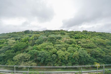 Vista da Sala de apartamento à venda com 2 quartos, 35m² em Usina Piratininga, São Paulo