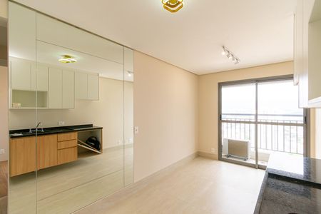 Sala de apartamento para alugar com 2 quartos, 43m² em Vila Prudente, São Paulo