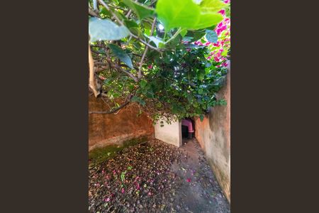 Casa à venda com 360m², 3 quartos e 2 vagas Casa à venda com 360m², 3 quartos e 2 vagasQuintal