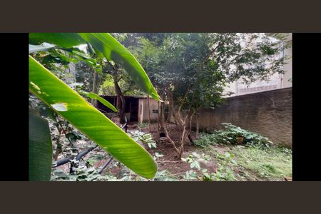 Quintal de casa à venda com 6 quartos, 800m² em Vila Clementino, São Paulo