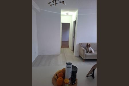 Foto 09 de apartamento à venda com 2 quartos, 41m² em Jardim Santa Emilia, São Paulo