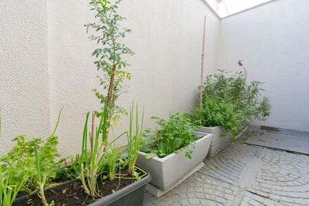 Apartamento para alugar com 112m², 2 quartos e 2 vagas