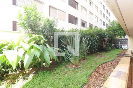 Apartamento para alugar com 67m², 3 quartos e 1 vaga Apartamento para alugar com 67m², 3 quartos e 1 vagaJardim
