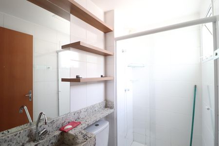 Banheiro Social de apartamento para alugar com 2 quartos, 50m² em Shopping Park, Uberlândia