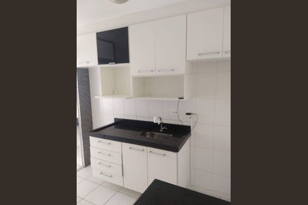 Cozinha de apartamento para alugar com 2 quartos, 50m² em Vila Mimosa, Campinas