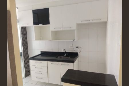 Cozinha de apartamento para alugar com 2 quartos, 50m² em Vila Mimosa, Campinas