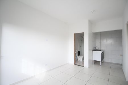 Sala/Cozinha de casa para alugar com 1 quarto, 38m² em Parque Regina, São Paulo