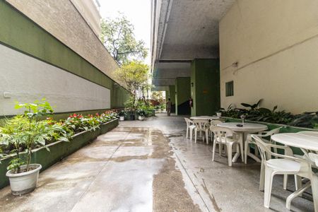 Studio para alugar com 30m², 1 quarto e sem vaga Studio para alugar com 30m², 1 quarto e sem vagaJardim